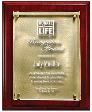 economy plques under $100